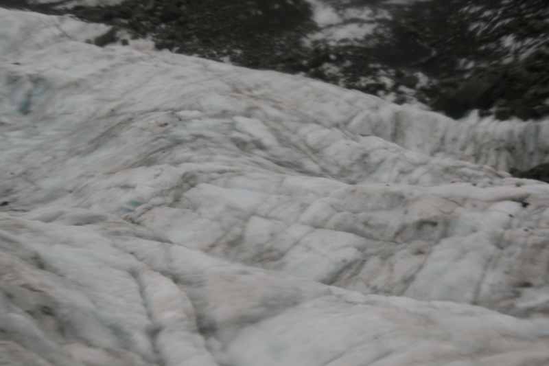 Nieuw-Zeeland 2011 - 1469